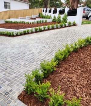 photo_2_2024-10-25_16-48-11